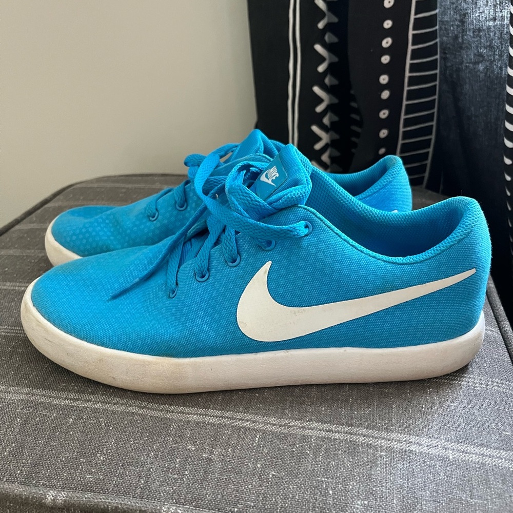 Nike SB sneakers